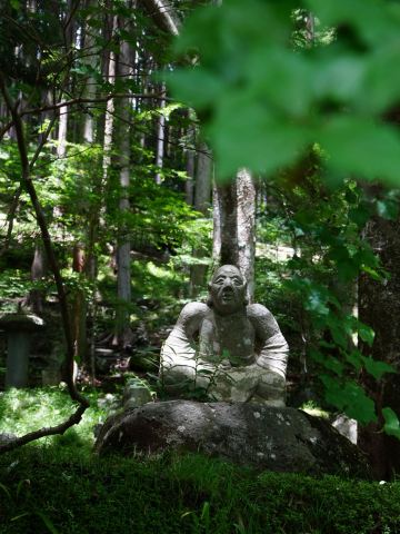 緑の世界に様々な表情の500の羅漢像 | Trip.com 箱根