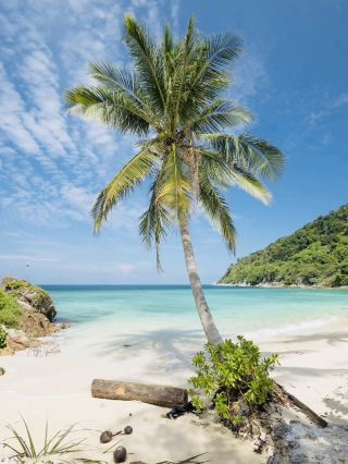 🌊🏖️ Merlin Beach – Phuket’s Hidden Paradise Away from the Crowds 🏖️🌊