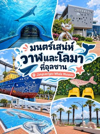 Ulsan is More Than Just the Sea! Discover the World of Whales at Jangsaengpo.