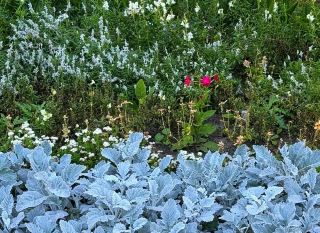 🍂🌷 A Seasonal Escape at McCrory Gardens, South Dakota