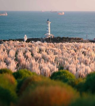 🌾🌊 A Different Kind of Autumn in Korea 