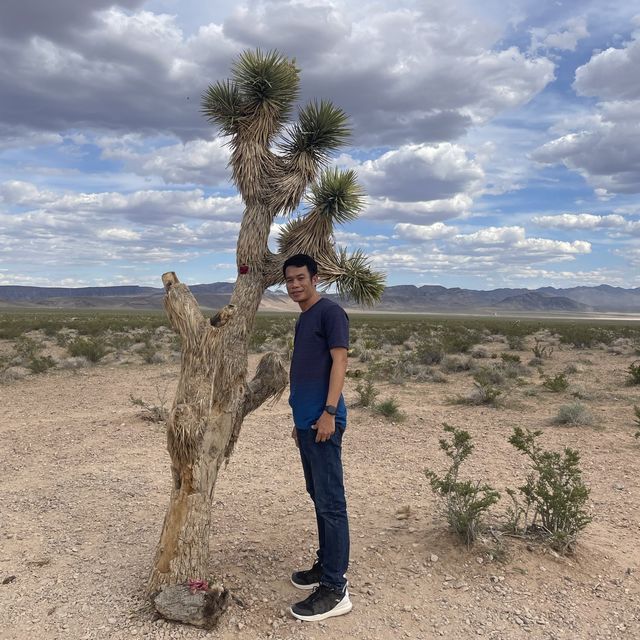 🇺🇸🪨หินสีสดใสภายในทะเลทรายวิวสวย🏜️🌴
