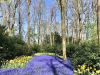 The Most Beautiful Spring Garden in the World