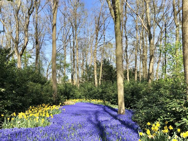 The Most Beautiful Spring Garden in the World