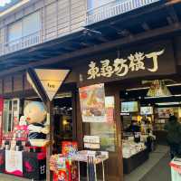 【福井県🇯🇵東尋坊】断崖絶壁がそそり立つ‼️福井の観光名所