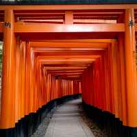 Kyoto and around!