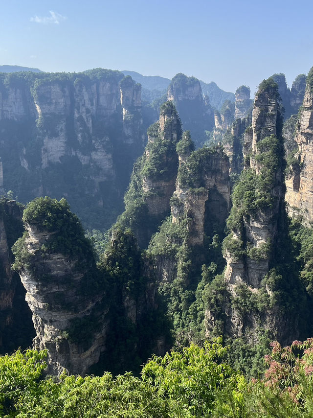 A day in the Avatar Mountains (Zhangjiajie National Forest Park)