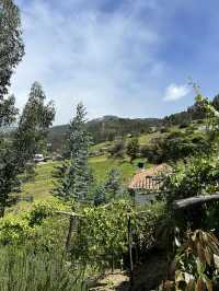 🇨🇴山に泊まる贅沢：Hostal Villa San Juan滞在記