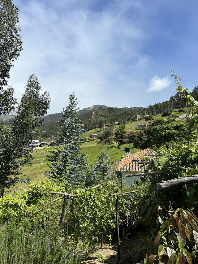 🇨🇴山に泊まる贅沢：Hostal Villa San Juan滞在記