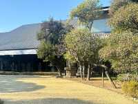 🎋【東京根津美術館 Nezu Museum】都會中的和風秘境🌿｜日式建築＋夢幻庭園＋東洋藝術珍藏｜超值得一訪！