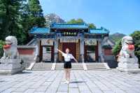 🍵⛰️ Laoshan Magic: Tea, Taoism & Timeless Views above Qingdao 🍵⛰️