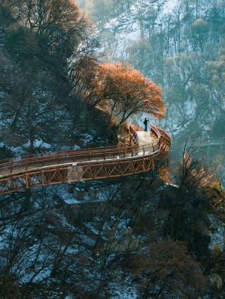 ❄️ Shaohuashan National Forest Park | A Winter Wonderland Hidden in the Qinling Mountains