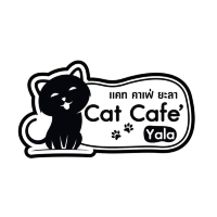 Cat cafe' คาเฟ่แมวยะลา 