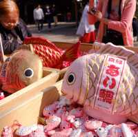 ［東京近郊］比較少人的賞櫻好地方🌸
