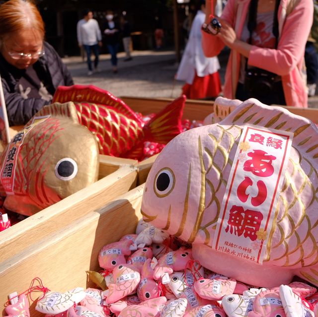 ［東京近郊］比較少人的賞櫻好地方🌸