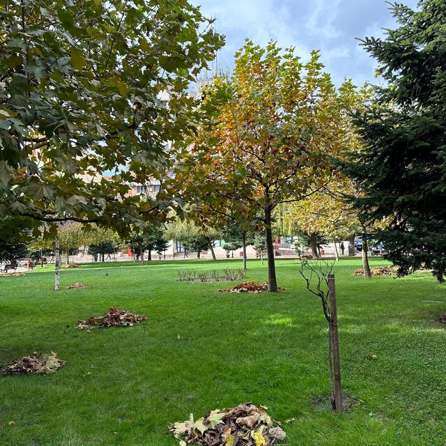Autumn in Romania be like ❤️