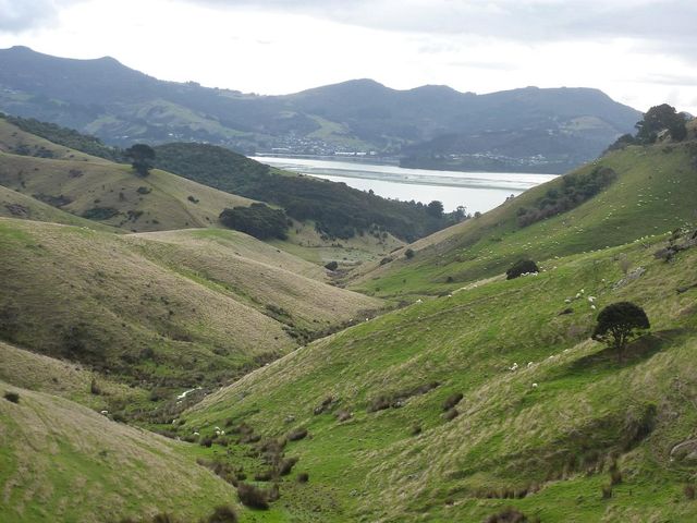 Exploring the Wonders of New Zealand