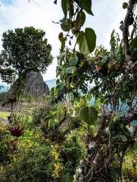 Historic Sanctuary of Machu Picchu