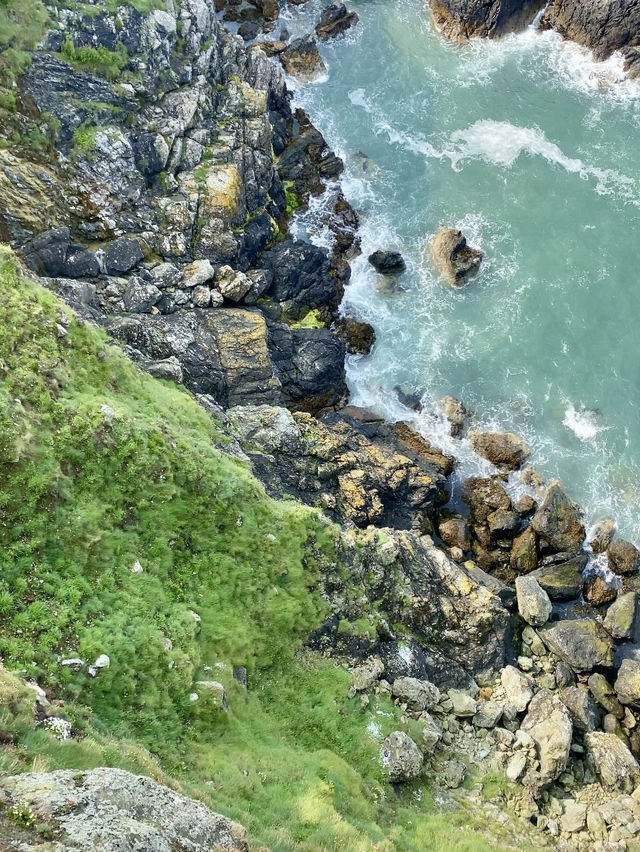 Howth Cliff Walk 🌸🌿🌊
