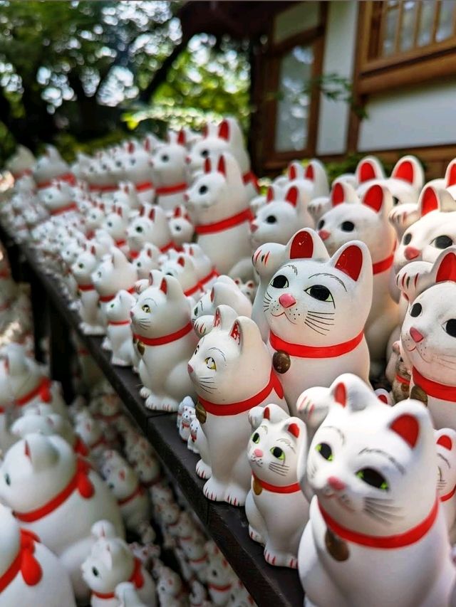 ⛩️豪德寺🐱藏有大量招財貓雕像的佛寺