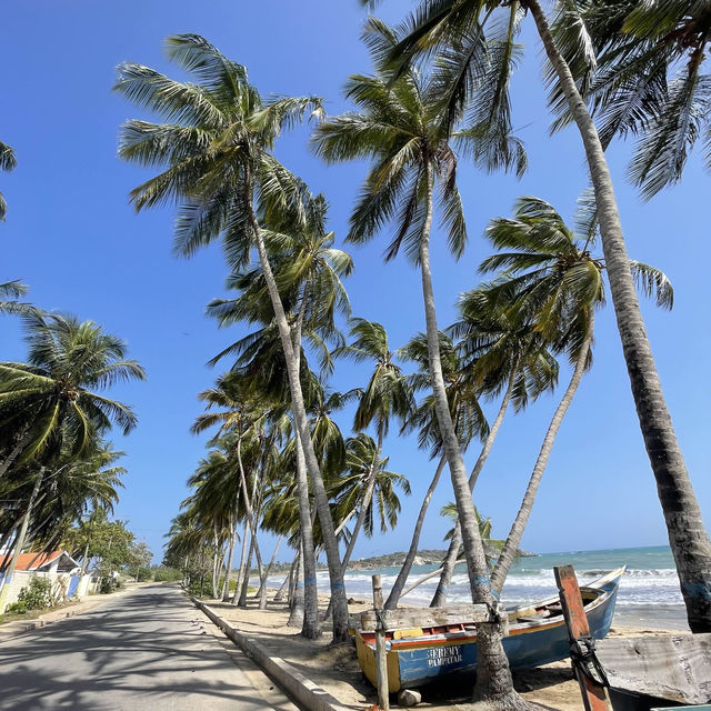 Venezuelan Paradise 🌊🏝️