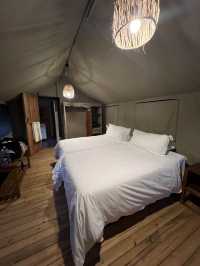 A Serene Oasis in the African Bush: Nkambeni Safari Camp