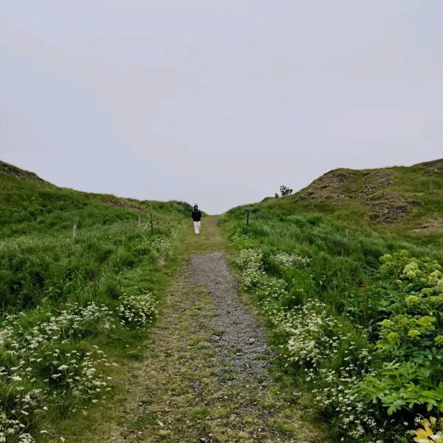 비데이 섬을 즐기는 팁