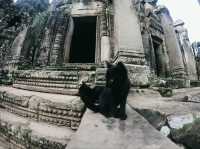 🌄 Temples of Siem Reap: Full Day Guide