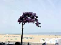 โรงแรมริมหาดเมือง Ostend 