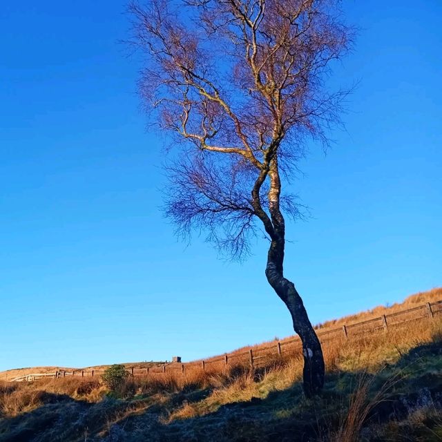 Boxing Day Hike up Rivington Pike 