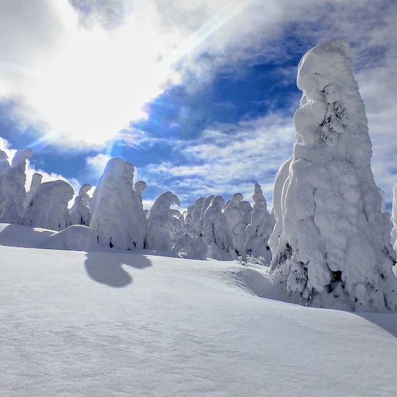 The splendid view of the snow 