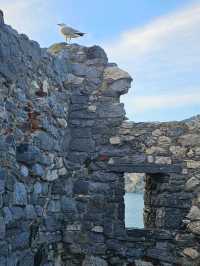 PORTOVENERE : A Castle at the peak of an Italian coast