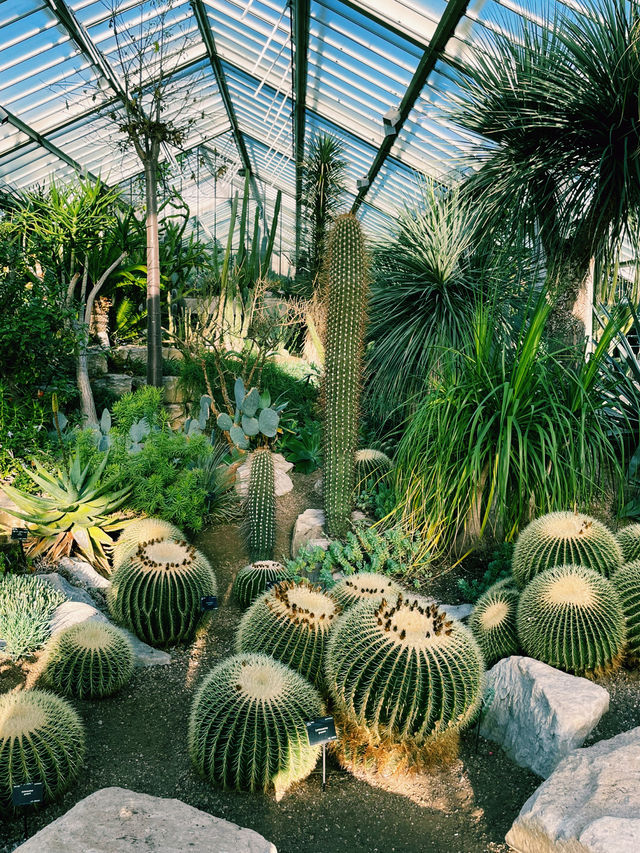 Kew Gardens: A Living, Breathing Wonderland 🌿🌸