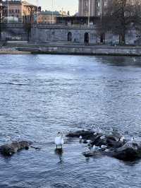 One day trip in Stockholm 