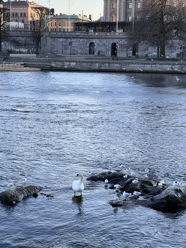 One day trip in Stockholm 