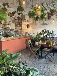 Tel Aviv: Hummus, Heatwaves & Hot People