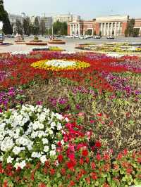 Spring in Dushanbe – Monument of Ismoili Somoni in Full Bloom