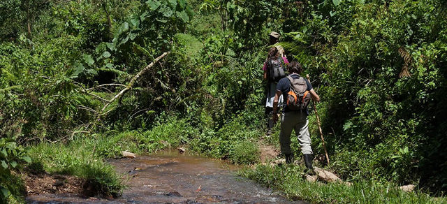 Eco Adventures in Africa: Wild, Sustainable, and Unforgettable