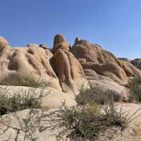 🌵 Getting Around Joshua Tree National Park: Transportation Tips You Need
