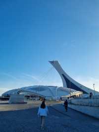Thing to do in Montreal: The Planetarium (close to the former olympic stadium)