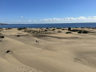 🏜️ Maspalomas Dunes: Gran Canaria’s Golden Desert by the Sea 🌴✨