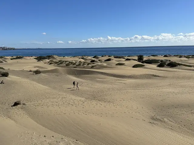 🏜️ Maspalomas Dunes: Gran Canaria’s Golden Desert by the Sea 🌴✨
