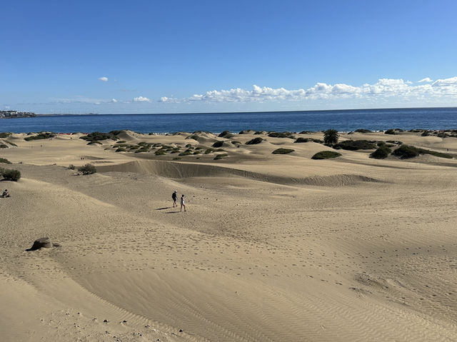 🏜️ Maspalomas Dunes: Gran Canaria’s Golden Desert by the Sea 🌴✨ 🏜️ Maspalomas Dunes: Gran Canaria’s Golden Desert by the Sea 🌴✨