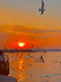 Seaside Strolls and City Lights: A Day in Dalian Donggang