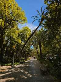 Discovering Málaga: A Perfect Blend of Sun, Culture & Tapas