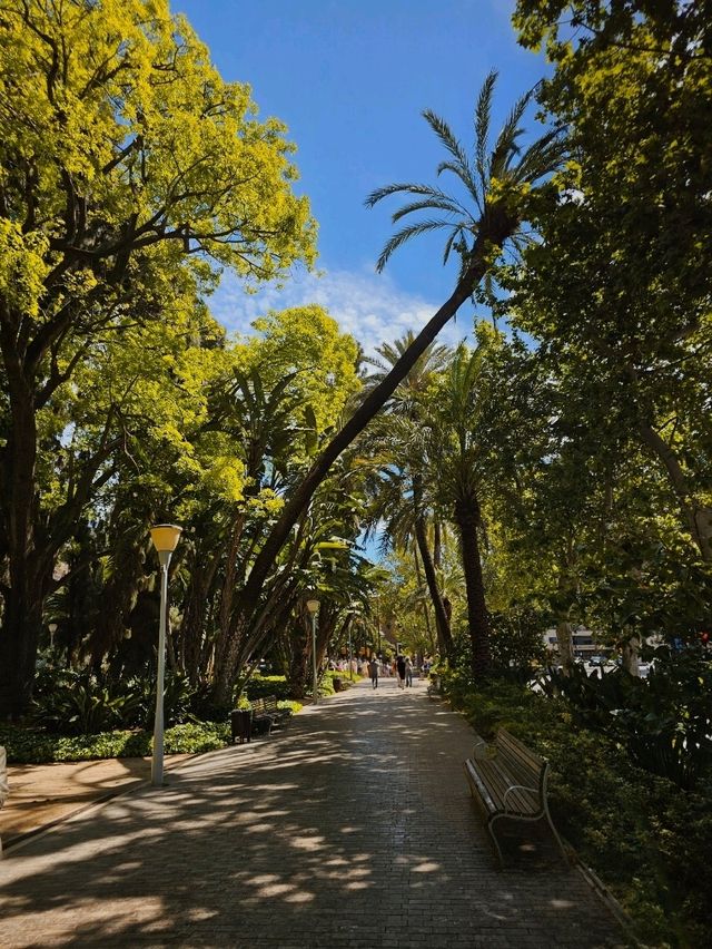 Discovering Málaga: A Perfect Blend of Sun, Culture & Tapas