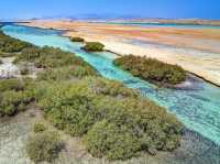 Ras Mohammed National Park, Egypt – Coastal & Coral Magic