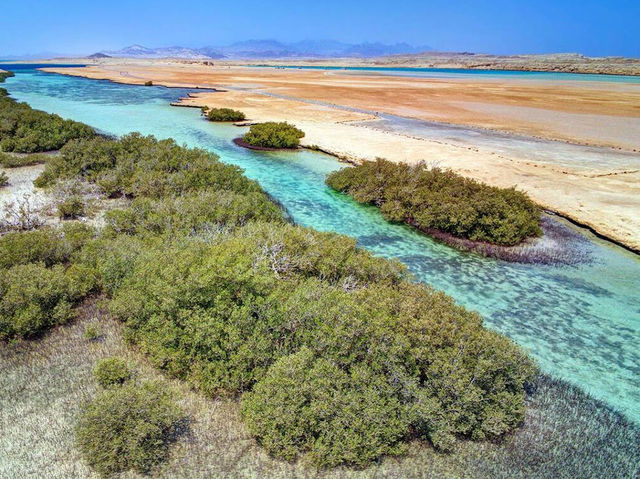 Ras Mohammed National Park, Egypt – Coastal & Coral Magic