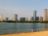 Swan Lake, Hefei Beach Edition 🦢🌅