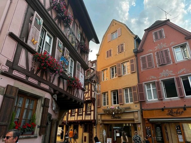 Colmar Dreamland🌈
